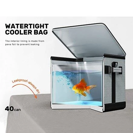 Foldable Insulated Lunch Box